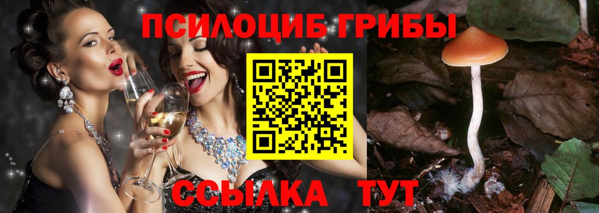 Псилоцибиновые грибы MAGIC MUSHROOMS Нижний Новгород